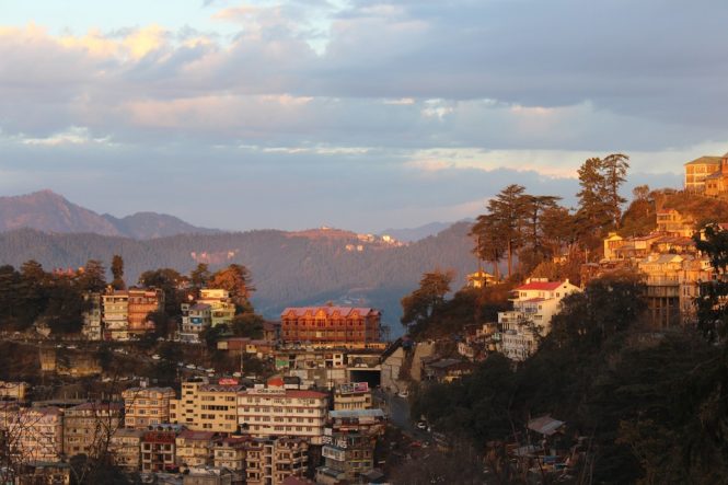Shimla