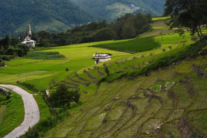 Ziro- Tourist places in India