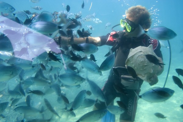 "Andaman Offseason" - Water Walking or Sea Walking