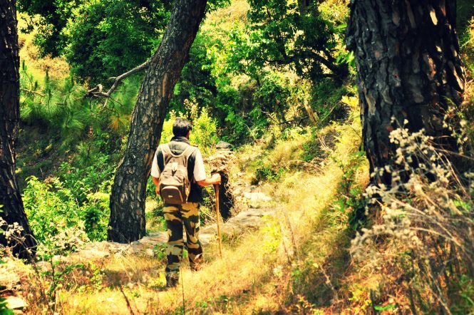 Binsar- Tourist places in India