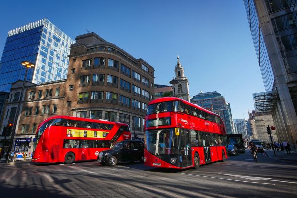 Taxi or bus- Booking forex online
