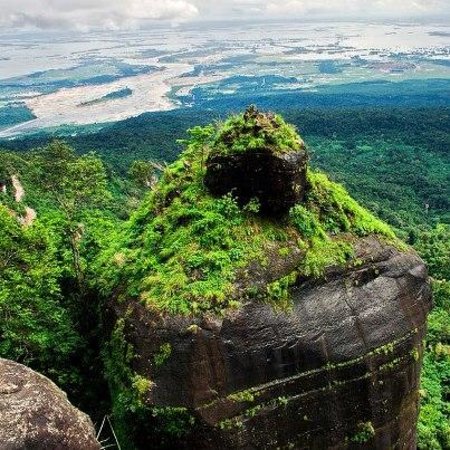 Khoh Ramhah/Pillar Rock-Living Root Bridges
