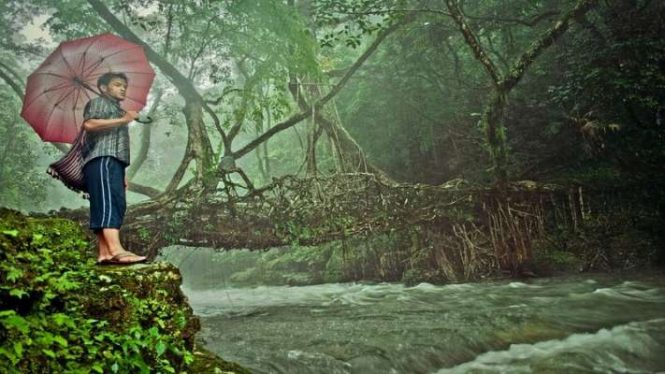  Trekking and Nature Walk-Living Root Bridges