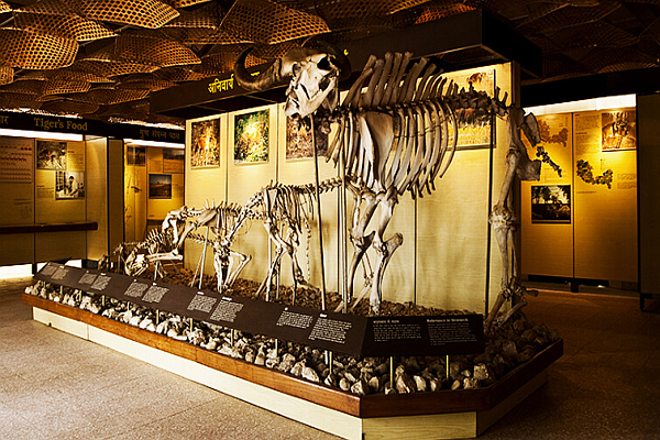 Stay options -Kanha National Park Stay options -Kanha National Park