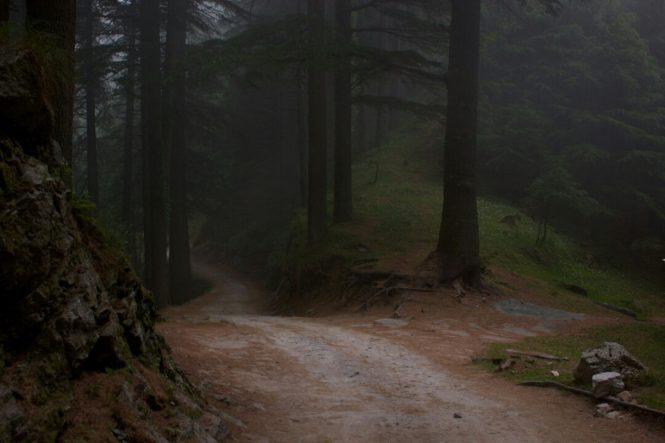 Kaliope Wildlife Sanctuary - Khajjiar