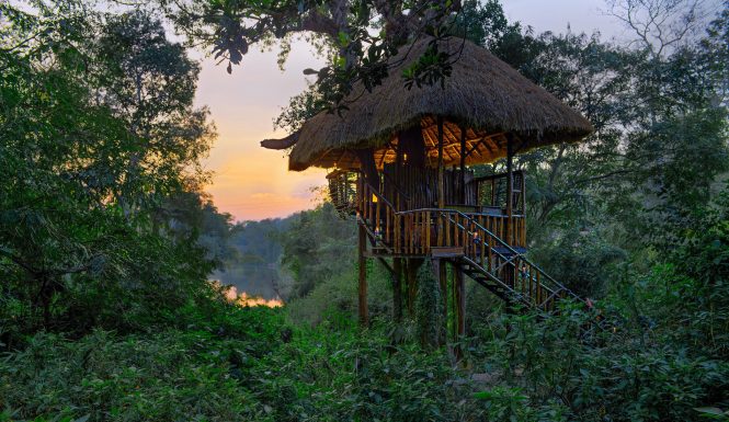 Bengaluru to Mysore and Coorg- Road Trip Packages Bengaluru to Mysore and Coorg- Road Trip Packages