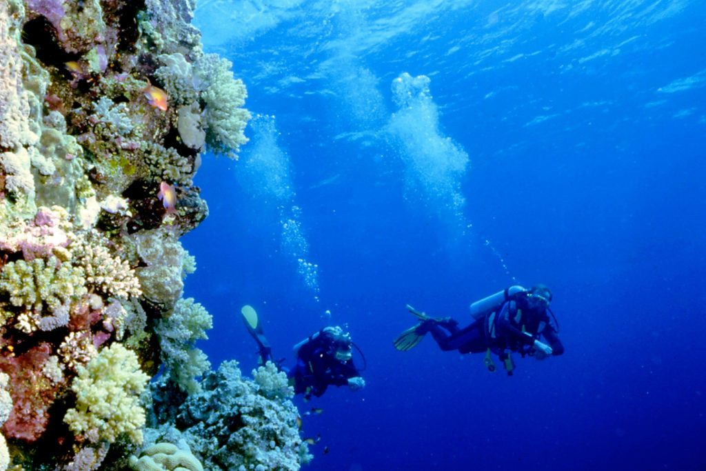 Scuba Diving in Andaman