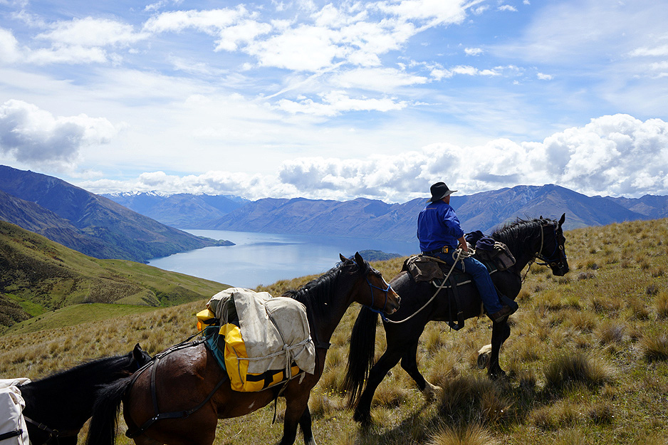 horse-trekking-new-zealand