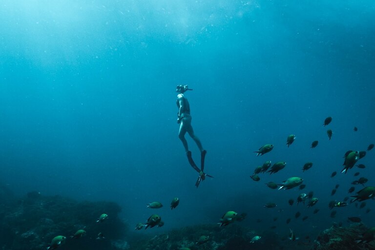 Scuba Diving