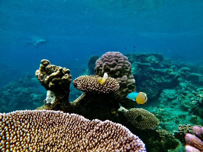 HP Reef Caves and Overhangs Thrill