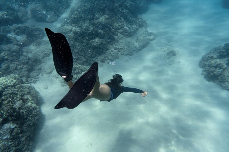 Maaya Thila: Night Snorkelling Extravaganza