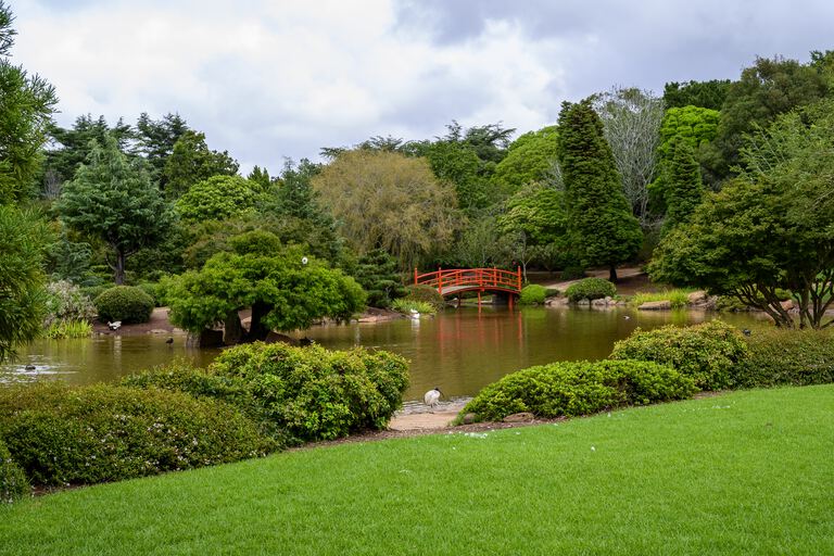 Sims Park