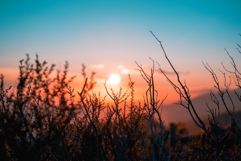 Catch Sunrise at Tongariki