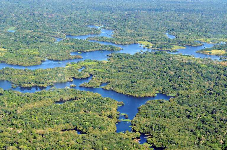 Amazon Basin