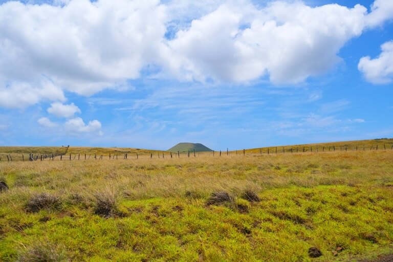 Views of Easter Island