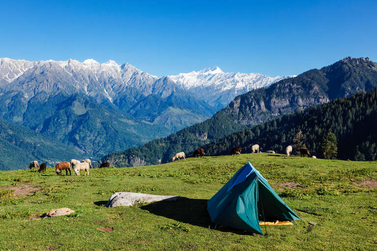 kullu