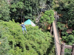 Pic: Ziplining