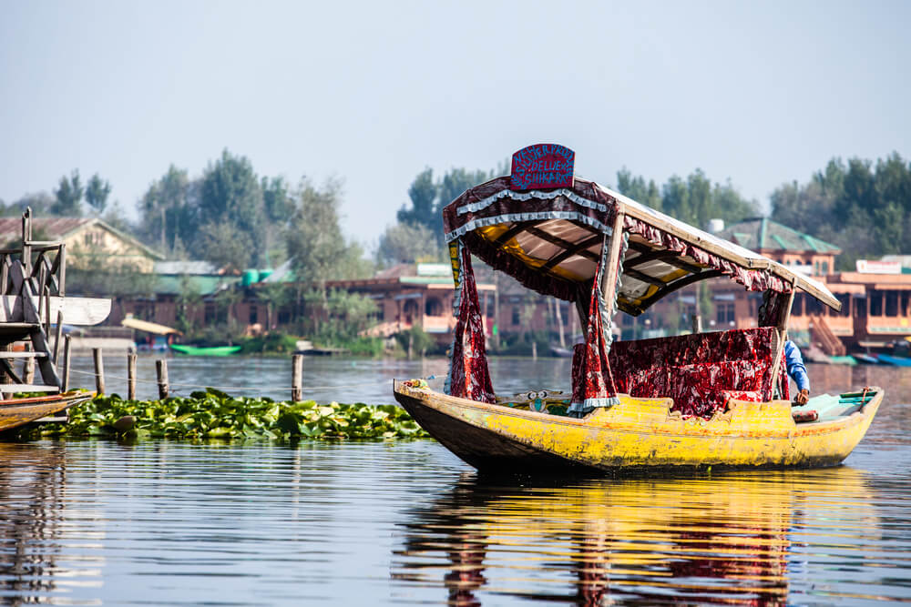 Shikara Boat - Dal lake
