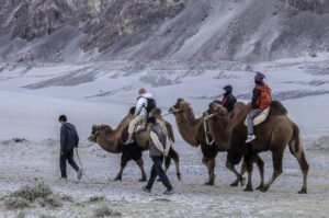 Nubra valley