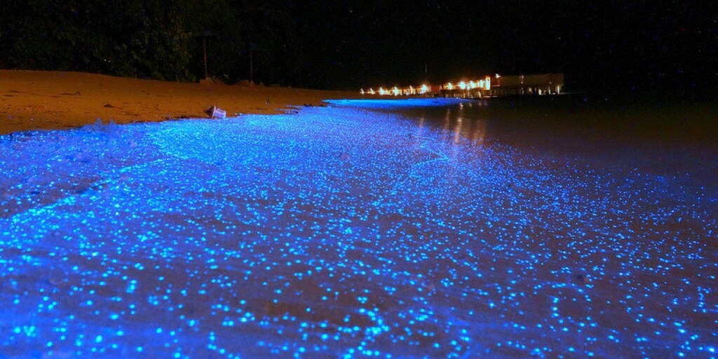 Glow in the Dark Beach