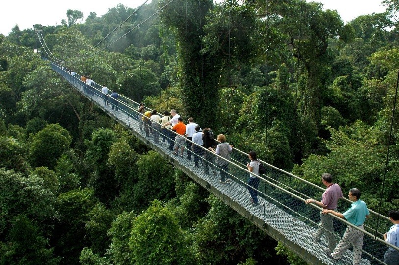 Wooden Bridge - Singapore