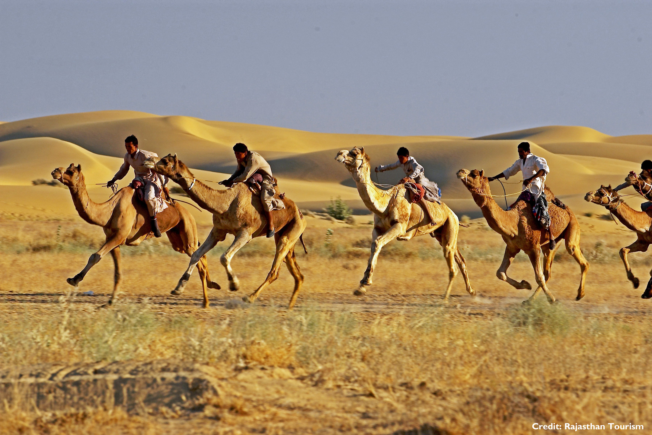 rajasthan tour packages thomas cook