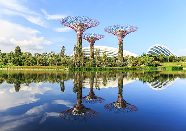 Gardens by the bay - Singapore