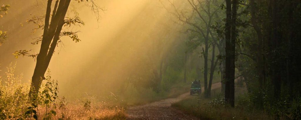 Jim Corbett National Park