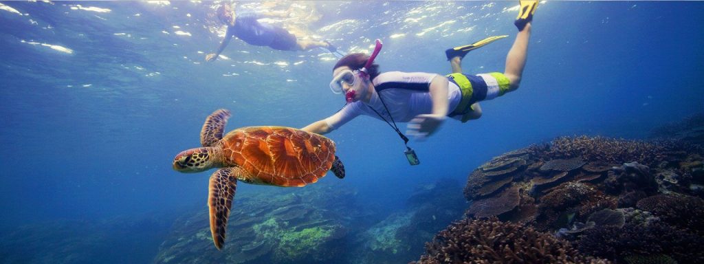 Andaman and Nicobar Island Wildlife