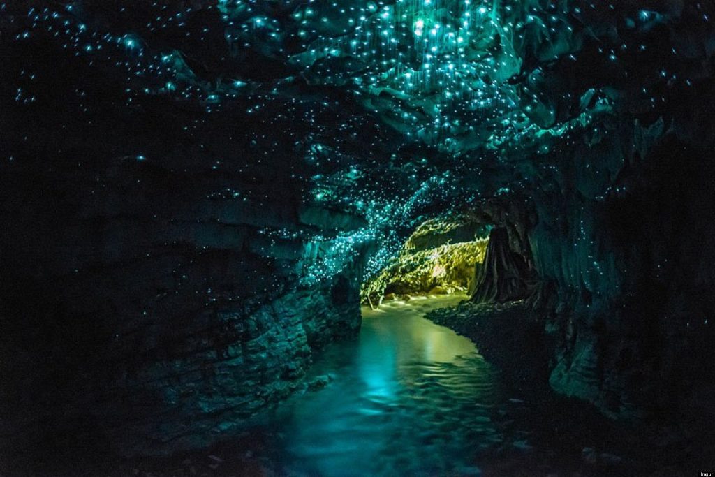 Glow Worm Cave, New Zealand