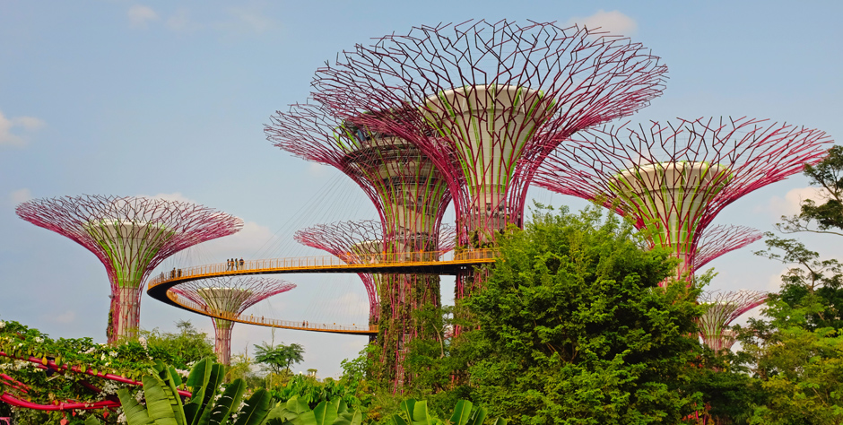 Gardens by the Bay