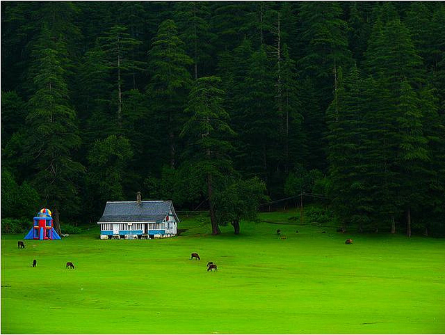 Khajjiar-Photographer’s Delight