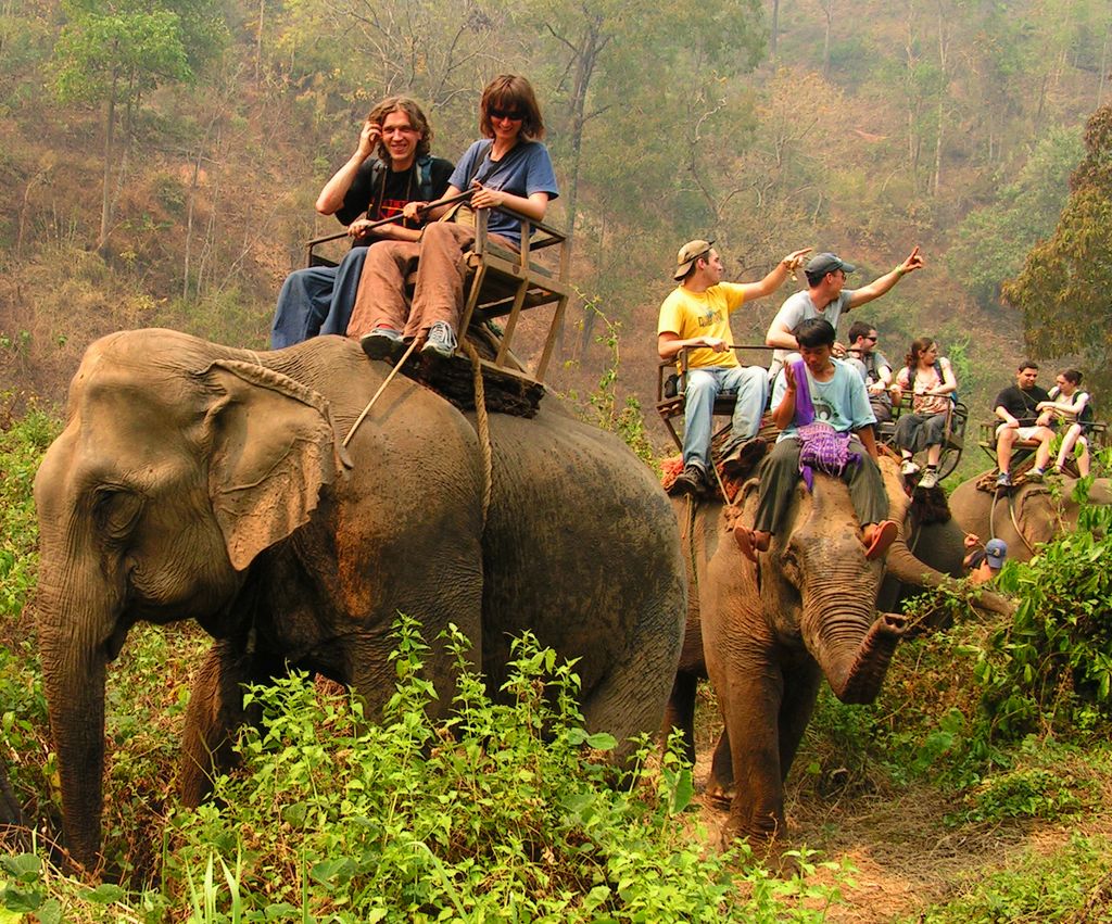Making the best of your trip to Thailand: 10 adventures you shouldn't miss Elephant Riding Thailand Tour