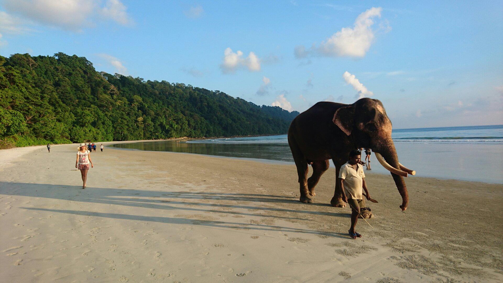 Radha Nagar Beach, Andaman and Nicobar Islands