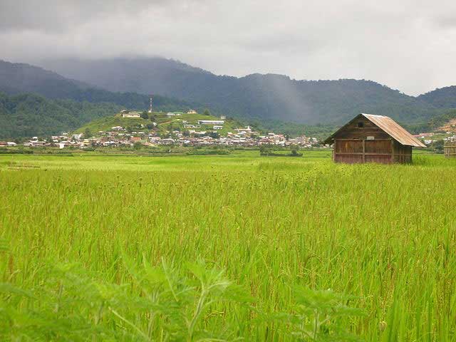 Ziro, Arunachal Pradesh