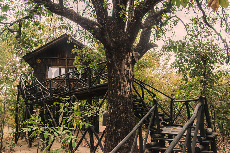 The Tree House Hideaway Resort, Bandhavgarh National Park