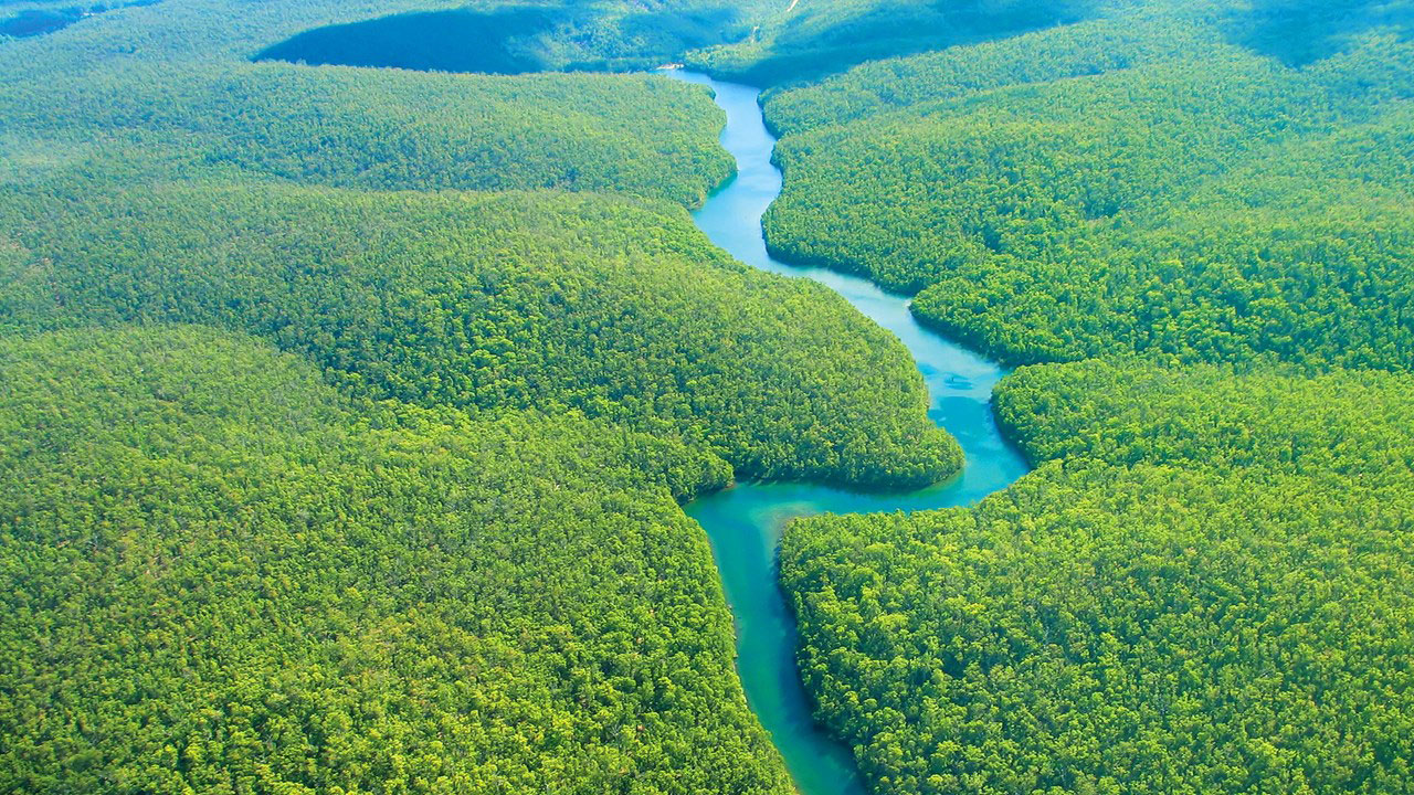 Amazon Rainforest, Brazil