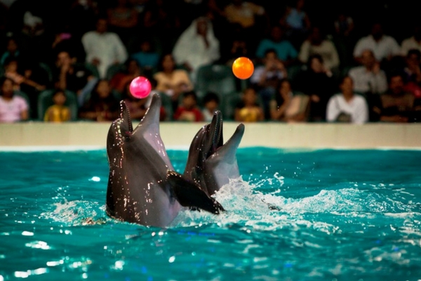 20 Trendiest Places To Visit In Dubai