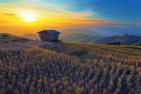 All About Thailand - A Brief Travel Guide Chiang Mai - All About Thailand - A Brief Travel Guide