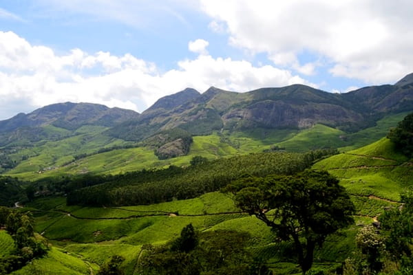 Top 10 Hill Stations In Kerala Munnar, Hill Stations in Kerala