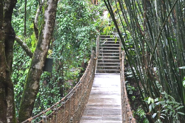 Top 10 Hill Stations In Kerala Vythiri, Kerala - Hill stations in south india