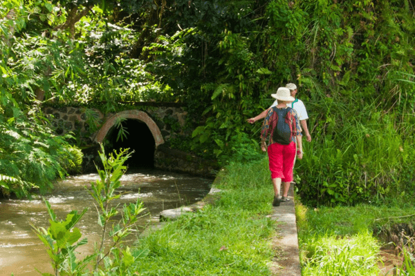 Top 30 Incredible Things To Do In Bali - The Island Of The Gods Walk in Bali