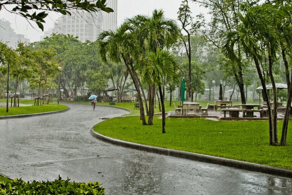 Lumpini Park, Bangkok