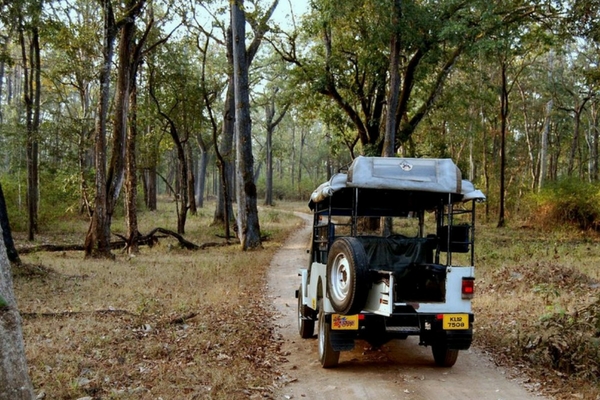 Wayanad Nature Park - Places to Visit in India in December