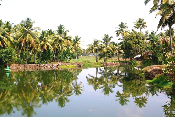 Backwaters of Alleppey