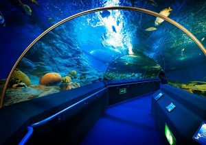 Underwater World Marine Park - Top 10 Things to do in Pattaya Underwater World Marine Park - Top 10 Things to do in Pattaya