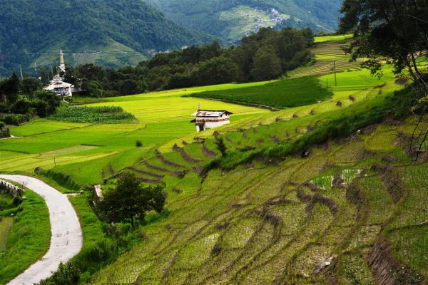 Top 50 Hill Stations in India