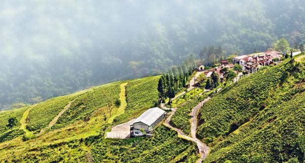 Darjeeling Holidays