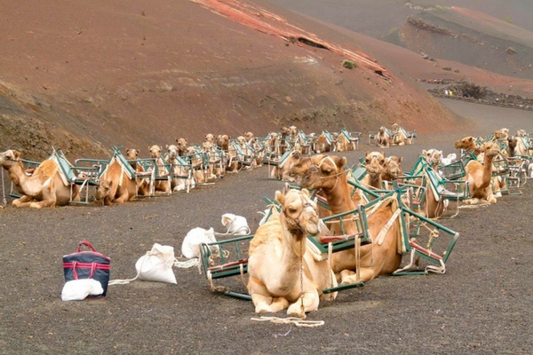 Timanfaya National Park