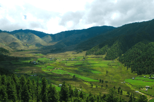 places of visit ooty